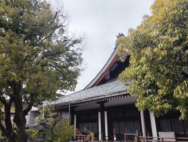 お彼岸なので寺参り