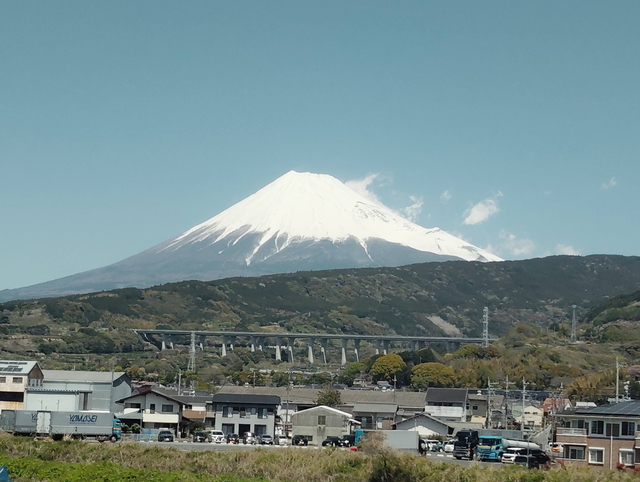 新幹線から富士山が見えました!
