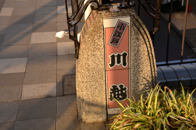 新幹線から富士山が見えました!
