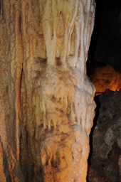 石垣島鍾乳洞・トトロの形