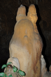 石垣島鍾乳洞・トトロの形
