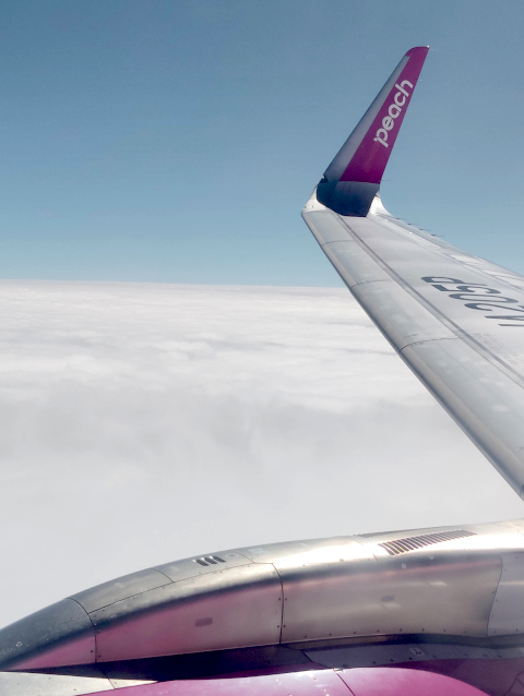 上空は雲が厚くなってきました