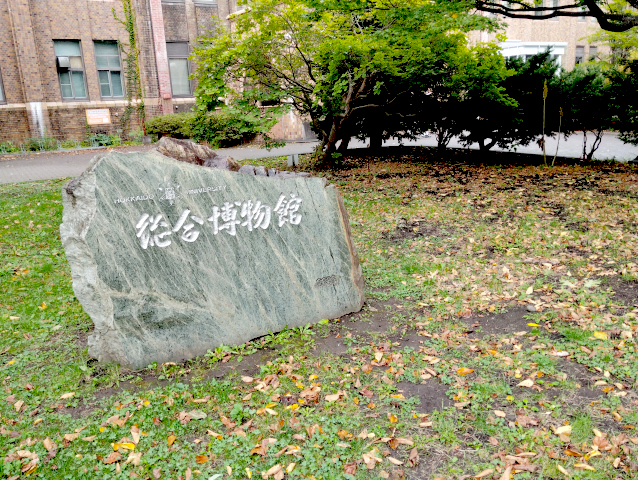 北海道大学構内