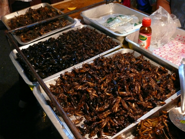 タイの屋台・昆虫の揚物2