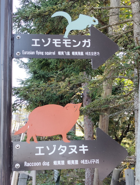 【看板】エゾモモンガ・エゾタヌキ