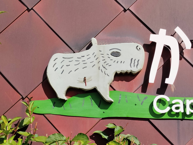 【看板】カバ